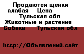 Продаются щенки алабая  › Цена ­ 6 000 - Тульская обл. Животные и растения » Собаки   . Тульская обл.